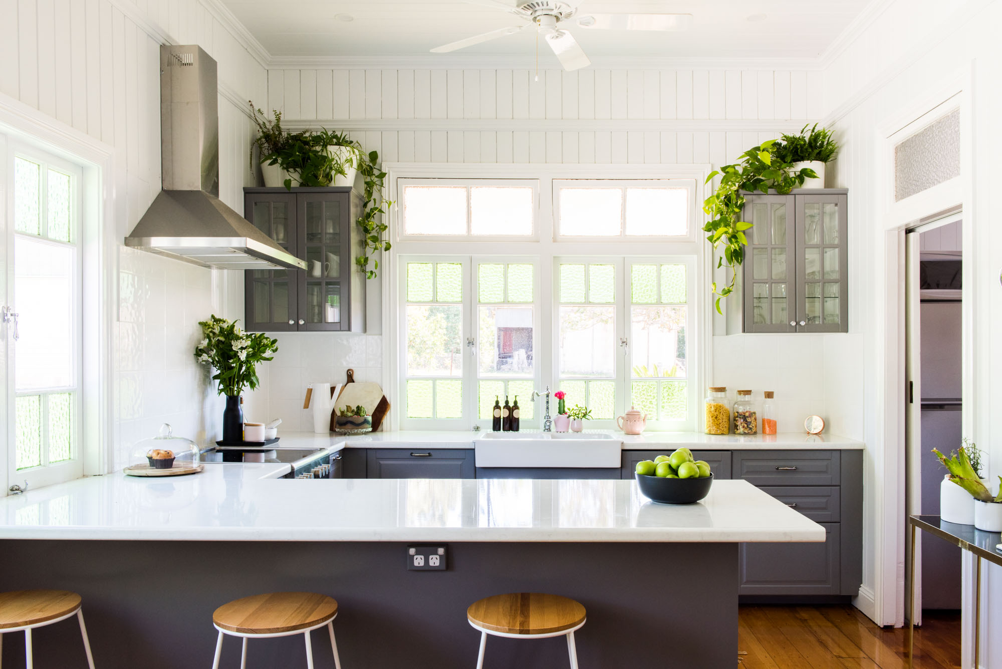 indoor plants to place near kitchen sink