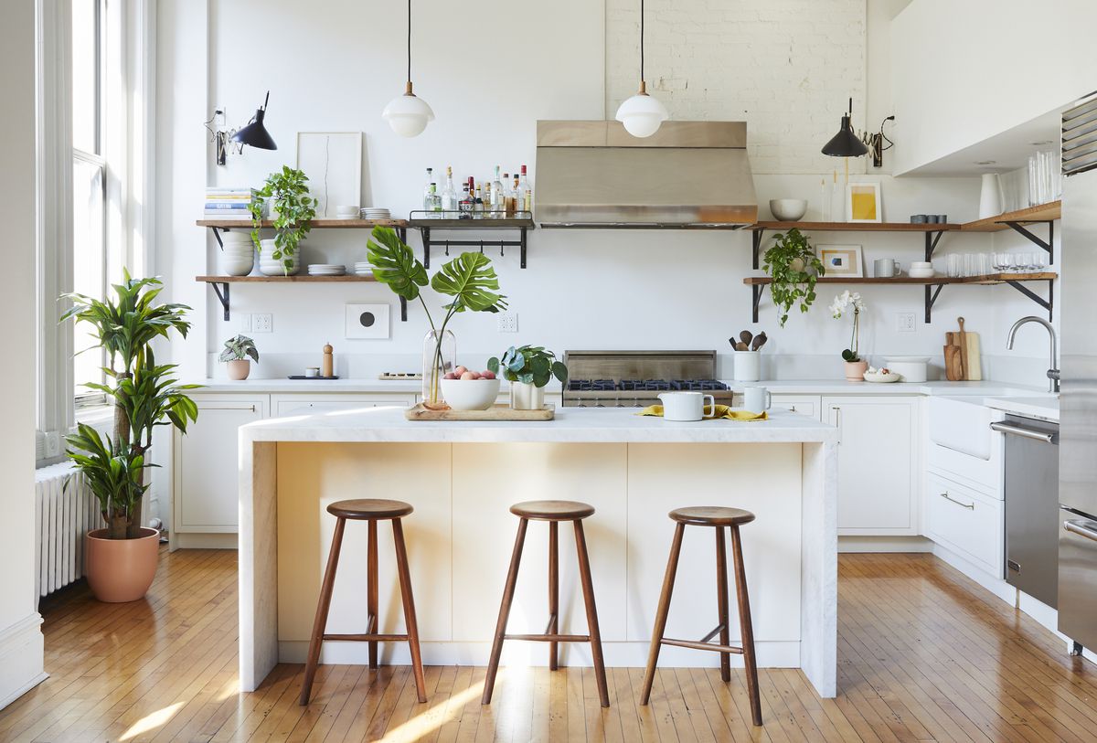 indoor plants in the kitchen on open shelves, countertops and floor