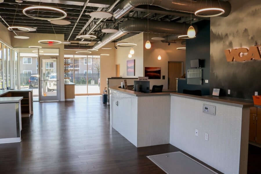 Thoughtful Design Meets Modern Appeal at VCA Animal Hospital- Battle Ground  - Precision Countertops