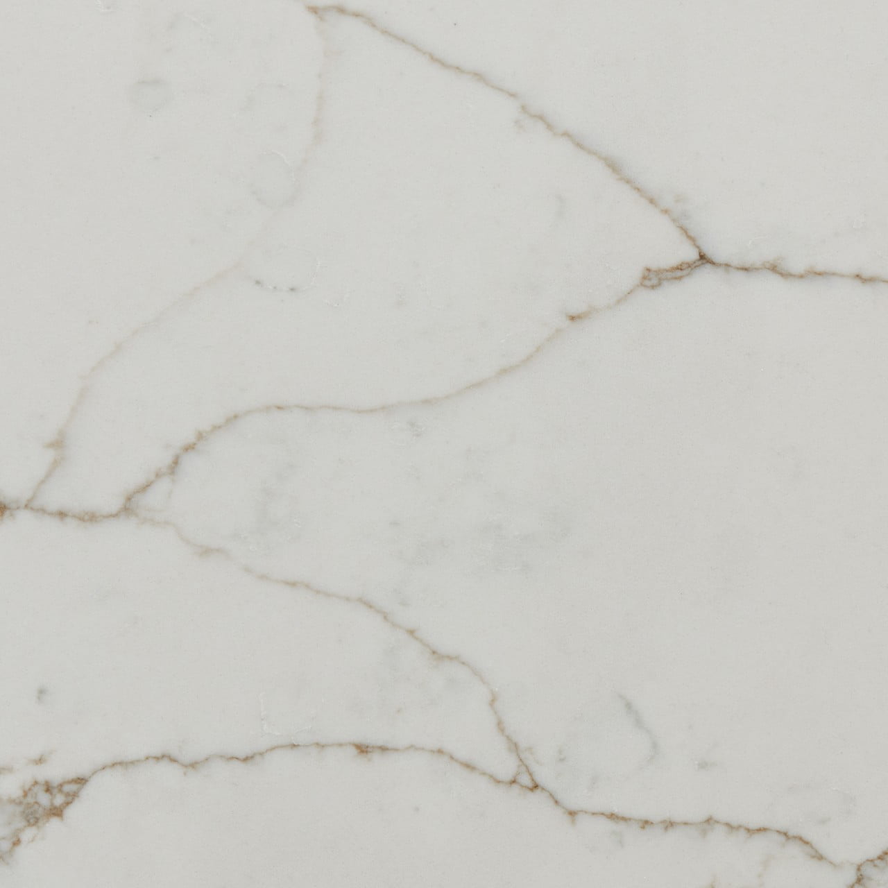 Q Quartz Calacatta Prado quartz swatch