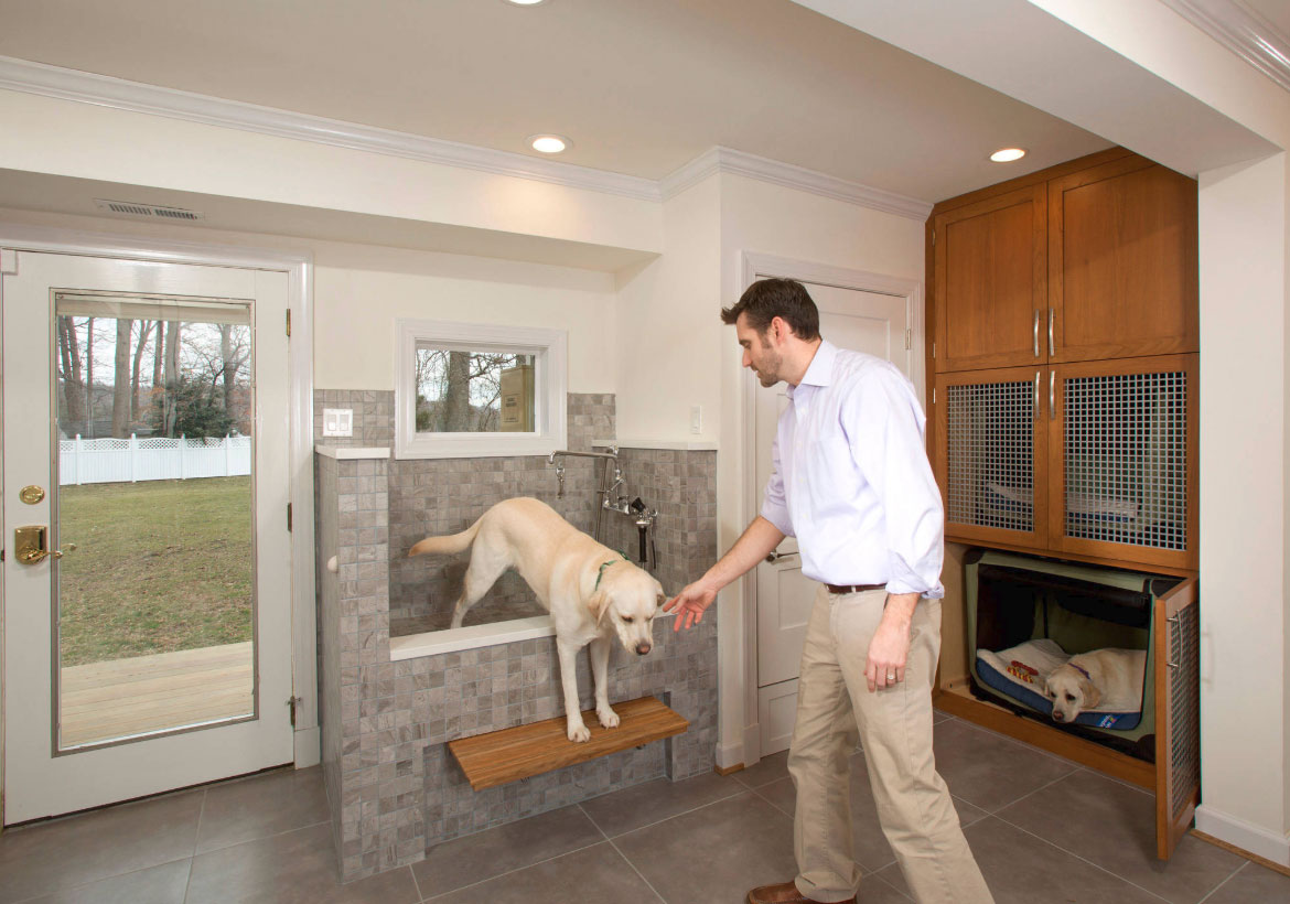 Elevated dog wash station with step to make it easier for dogs to get in and out