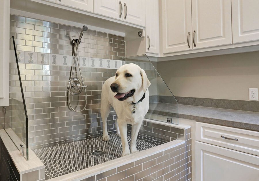 How to Build a DIY Dog Wash Station: Top Things to Know!