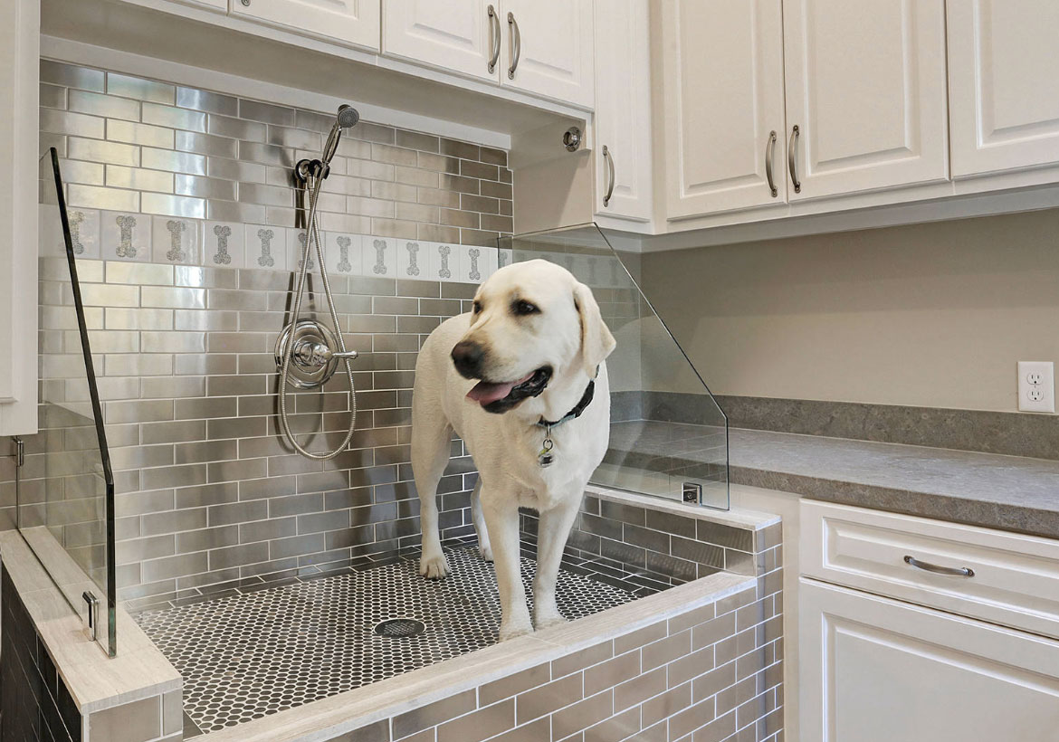 tiled dog wash station that is elevated for easier use