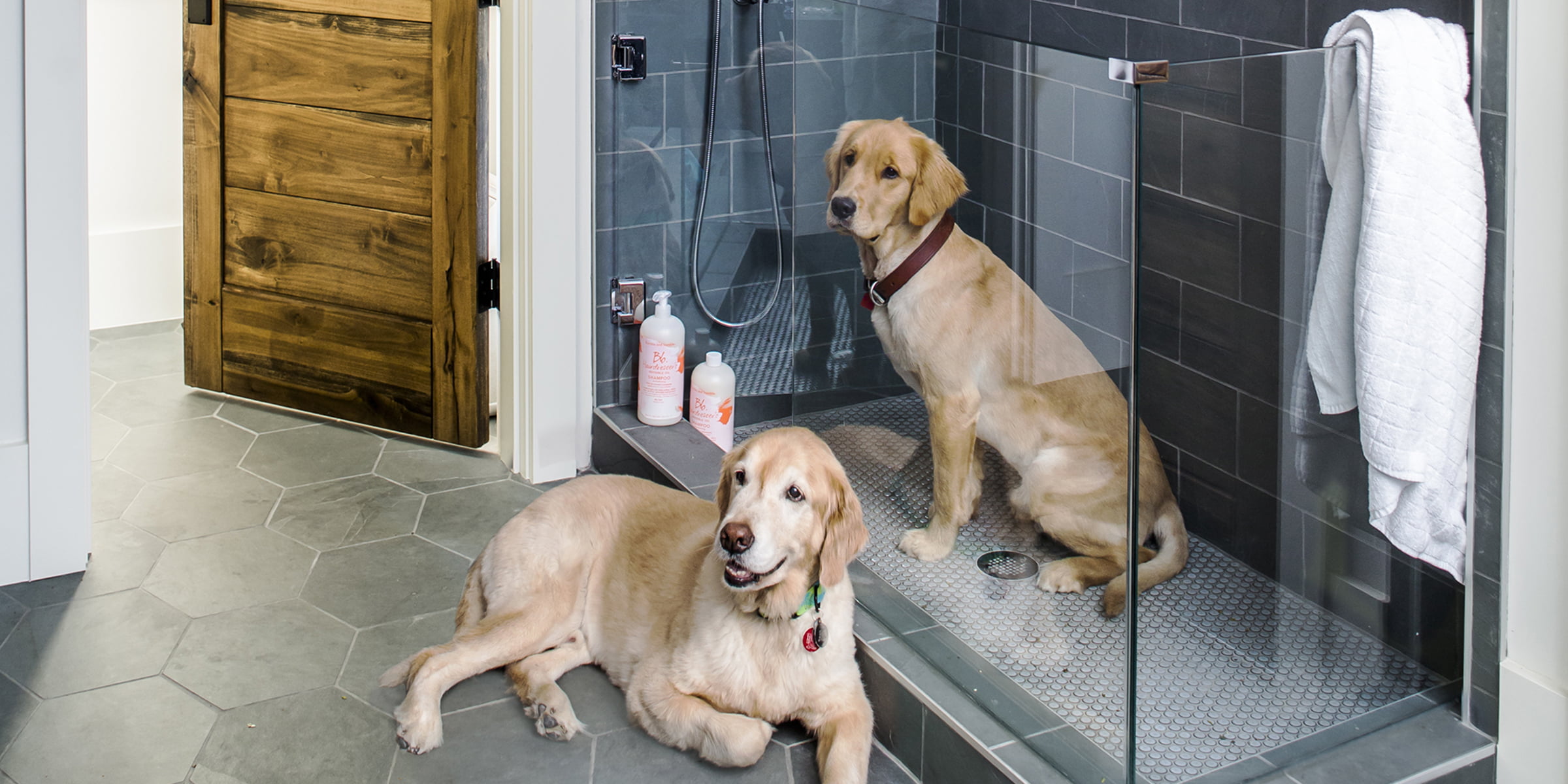 Want to build a dog wash station? Here's what you need to know. – The  Created Home