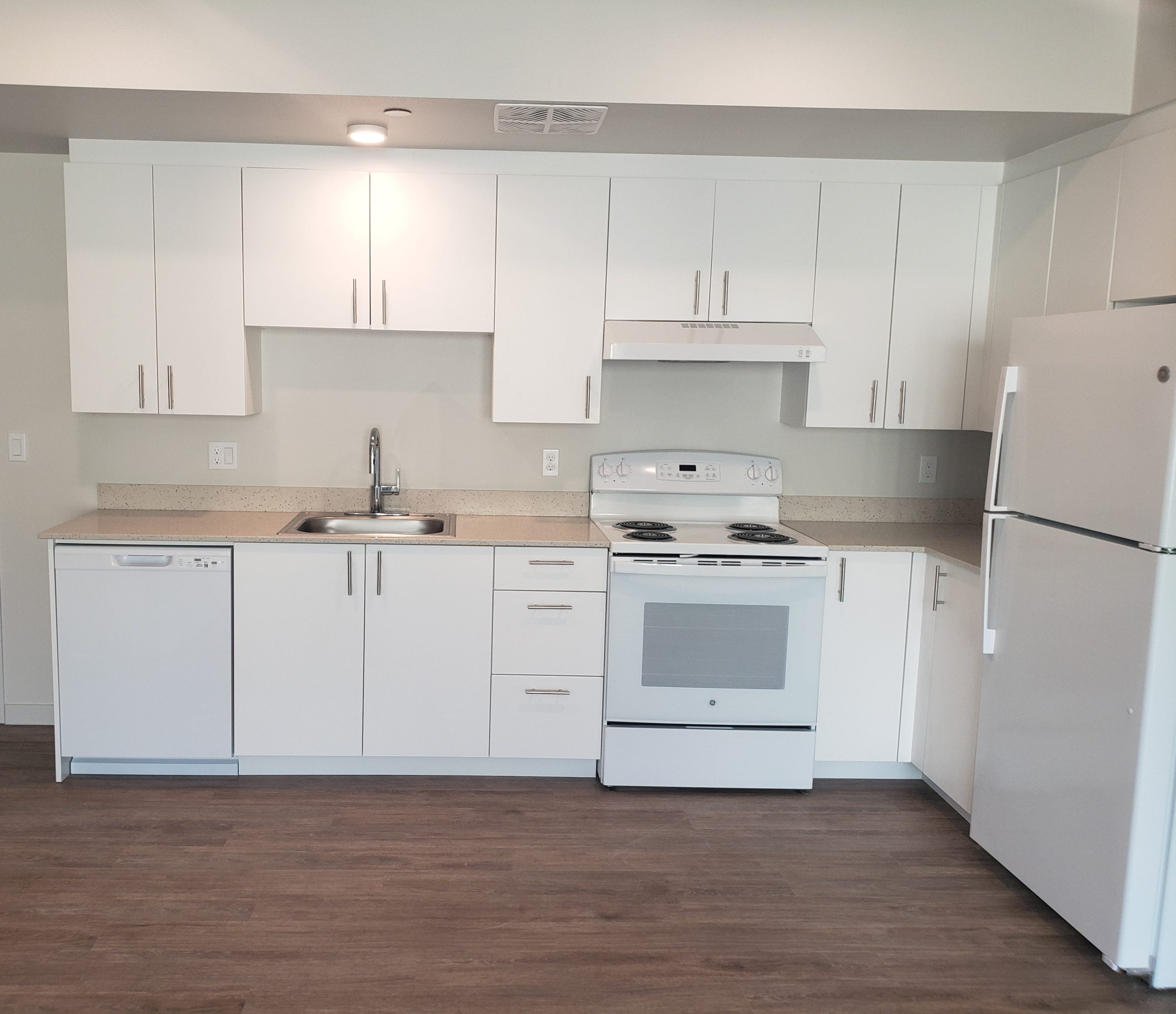 Q Quartz Bianco Pepper quartz countertops in The Canopy Apartments