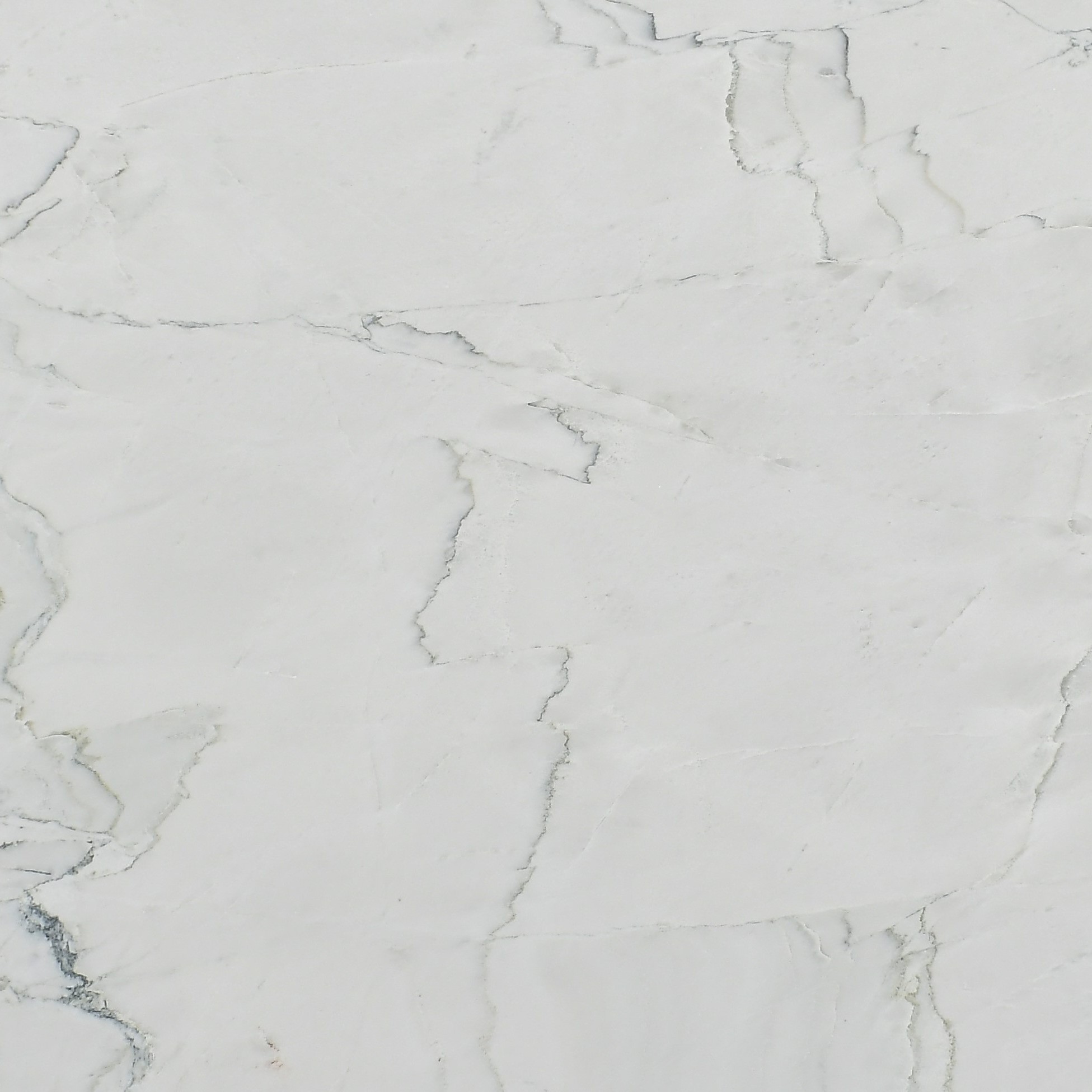 Calacatta Montreal quartzite swatch