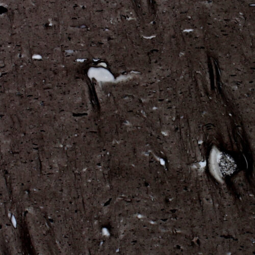 Cygnus granite swatch