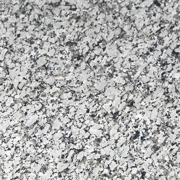 Iberian White granite swatch