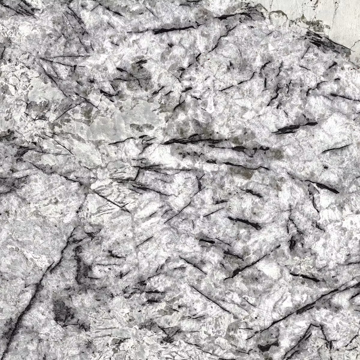 Delicatus White granite swatch