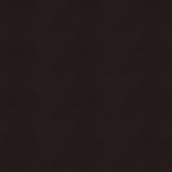 Caesarstone quartz Jet Black swatch